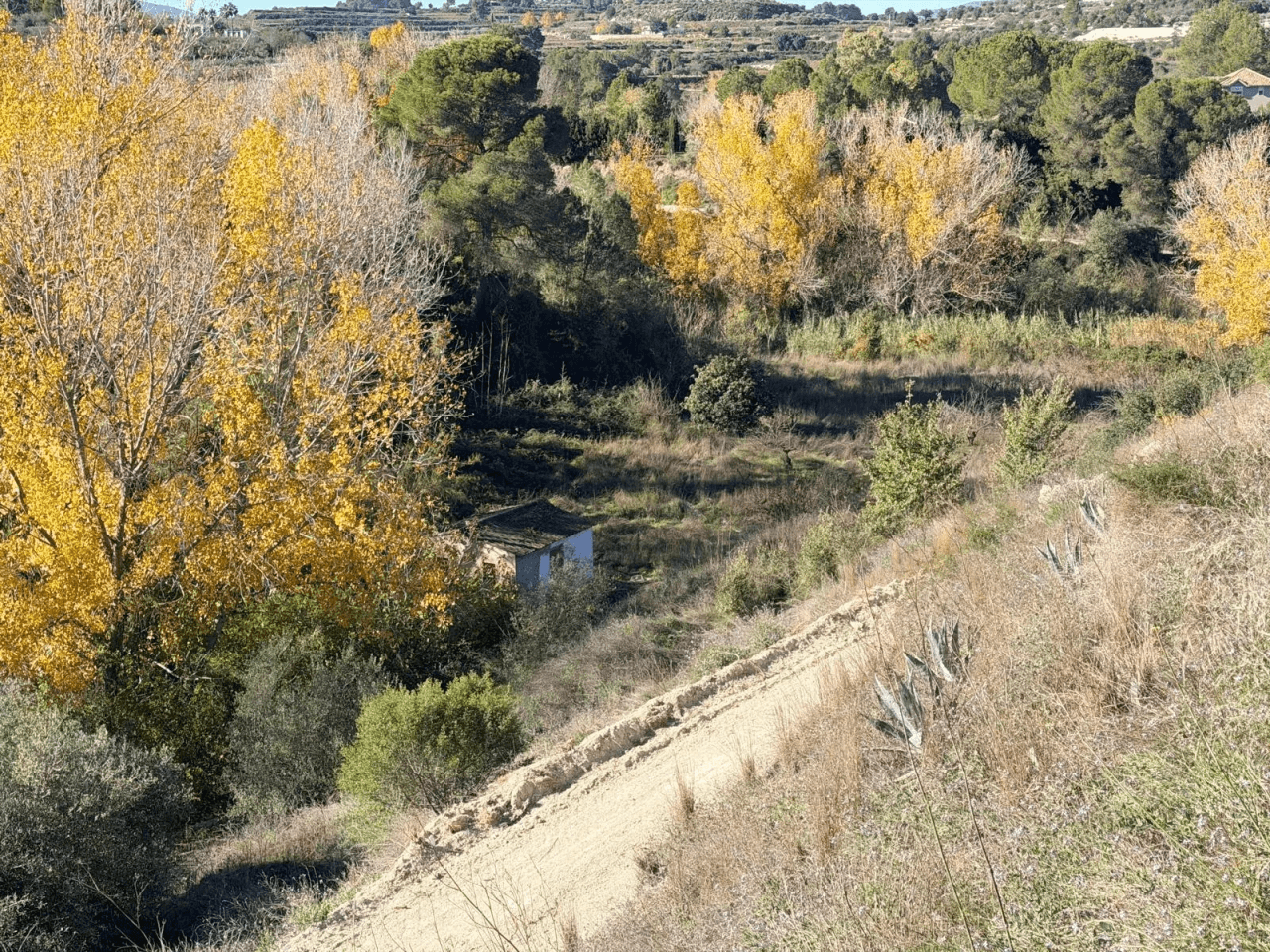 Parcela à la vente à Albaida, Valencia