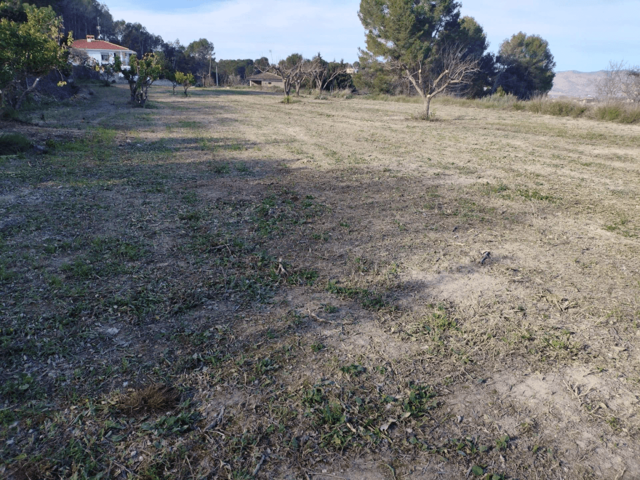 Terreno Urbano à la vente à Agullent, Valencia