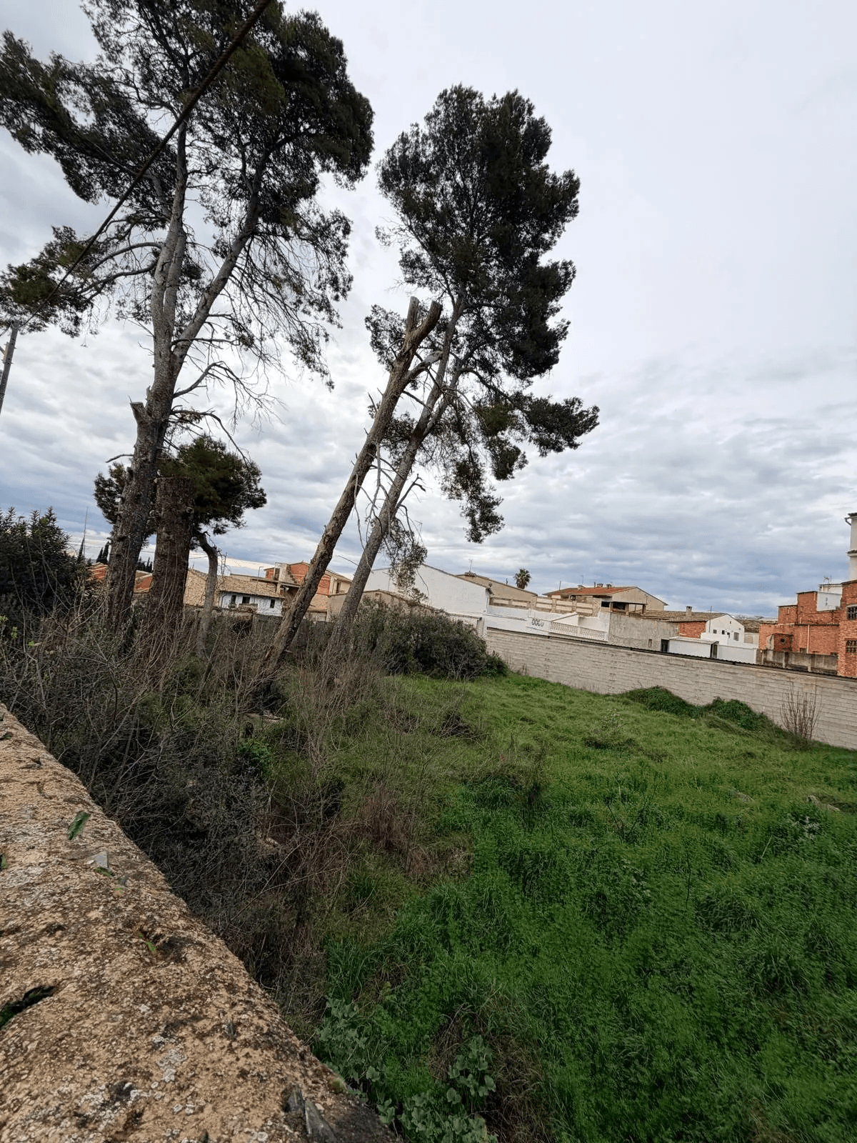 Solar à la vente à Belgida, Valencia