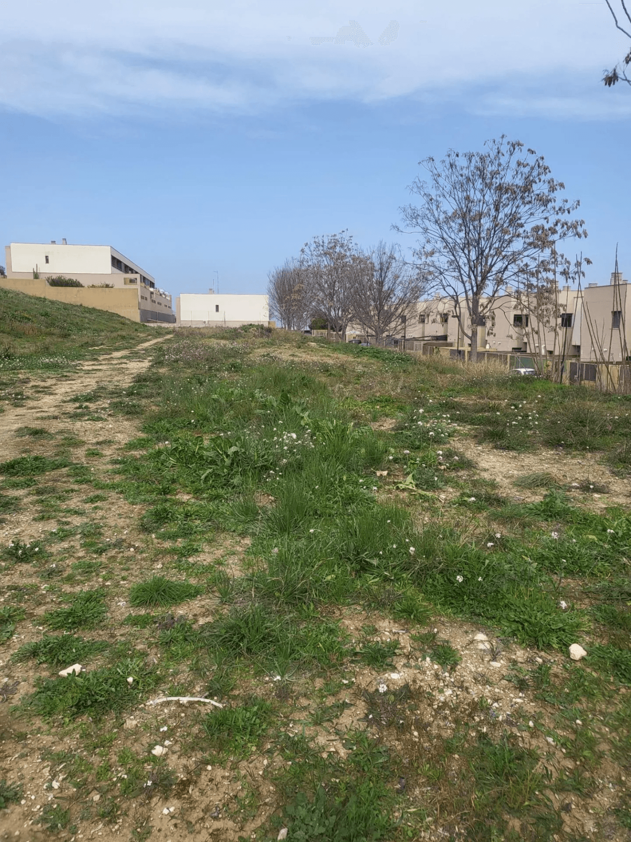 Terreno Urbano zum verkauf in Albaida, Valencia