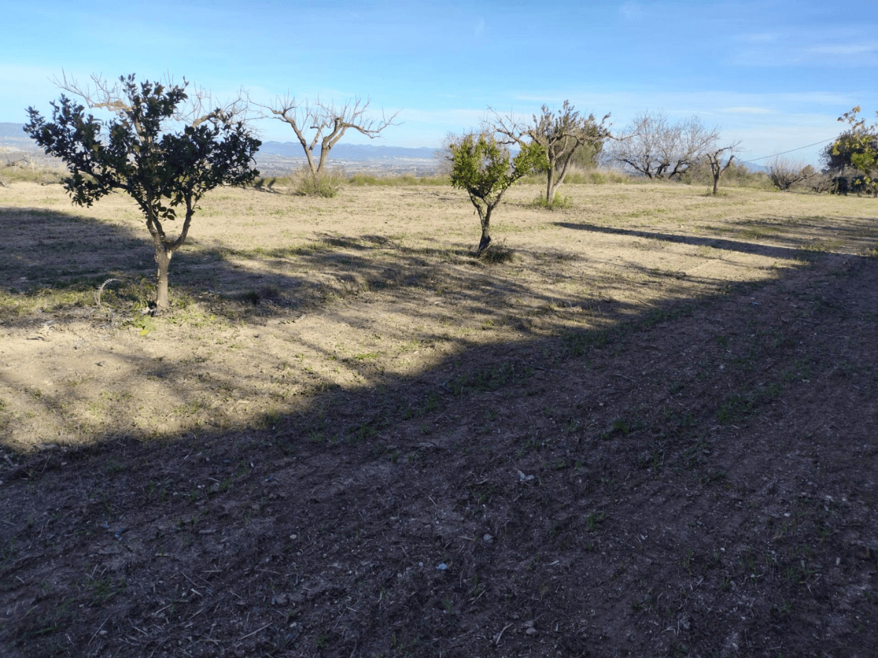 Terreno Urbano à la vente à Agullent, Valencia
