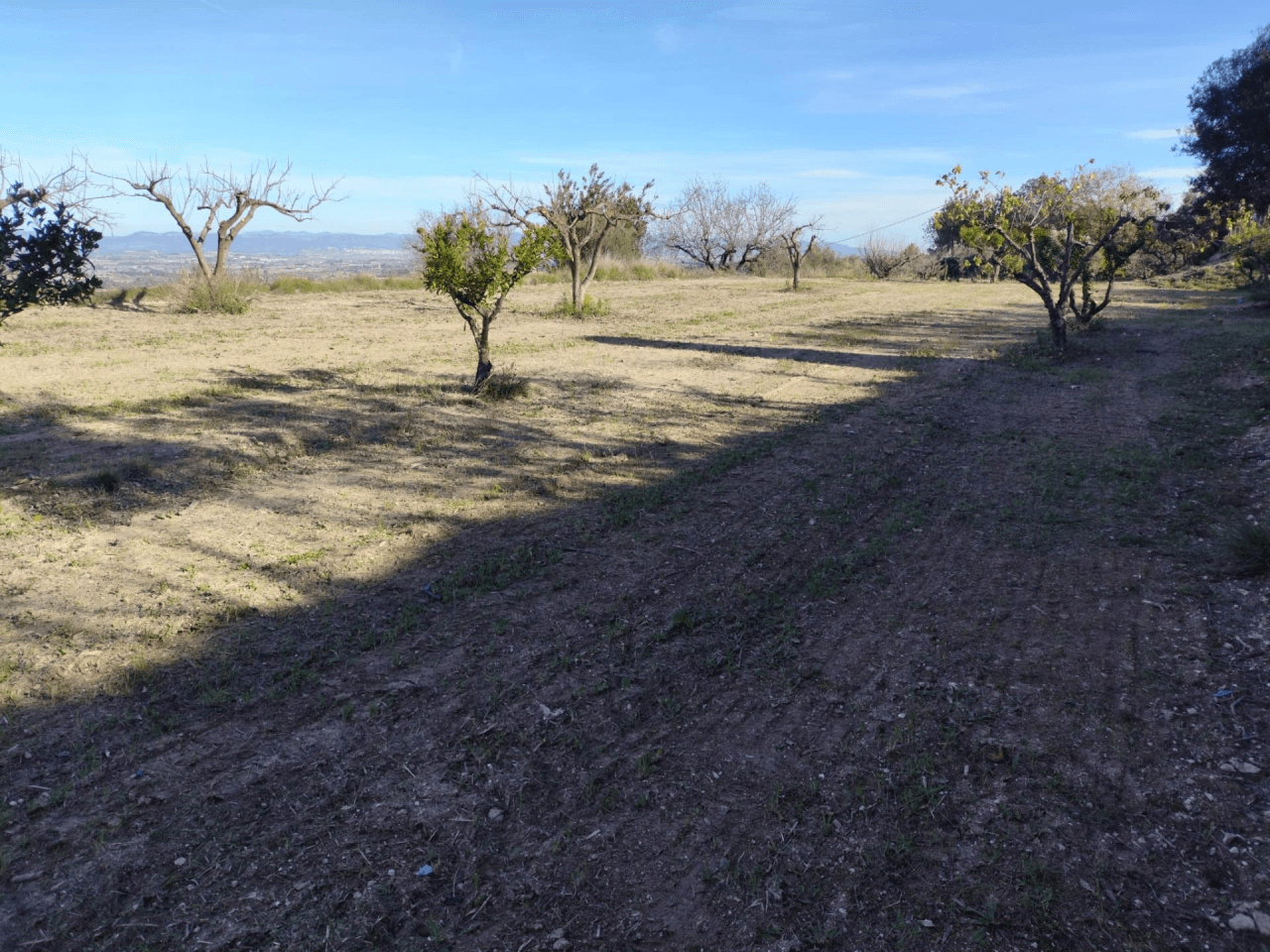 Terreno Urbano à la vente à Agullent, Valencia