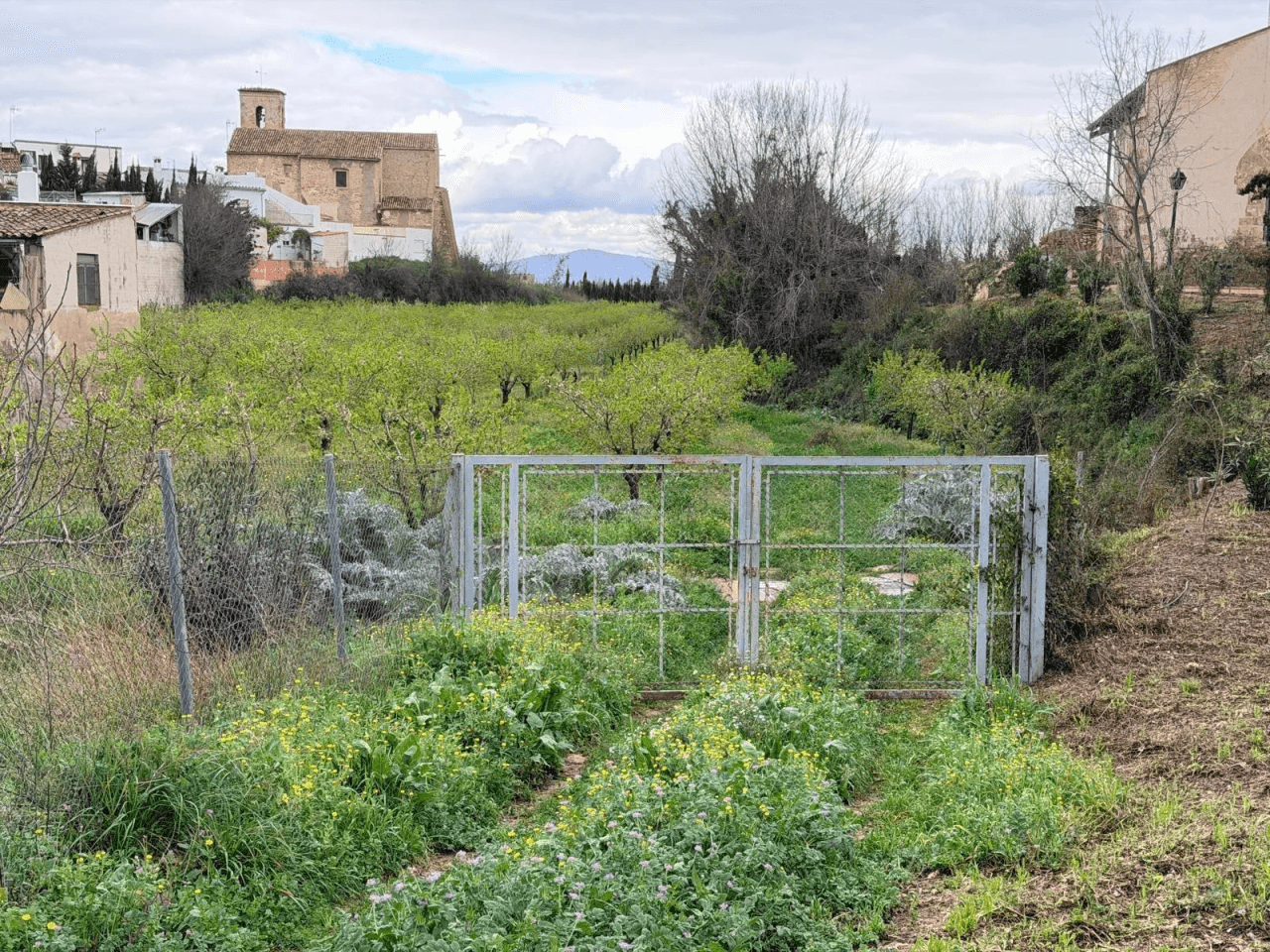 Parcela à la vente à Albaida, Valencia