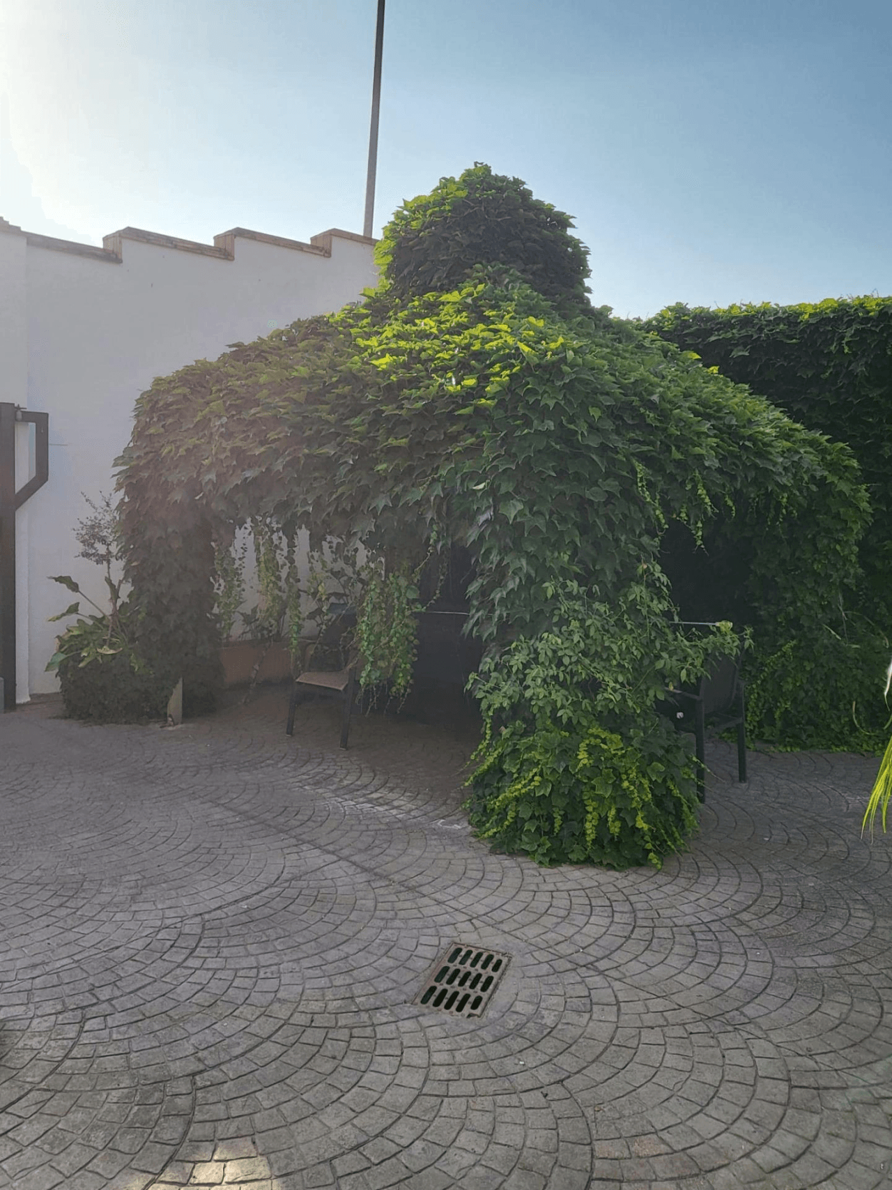 Casa zum verkauf in El Palomar, Valencia