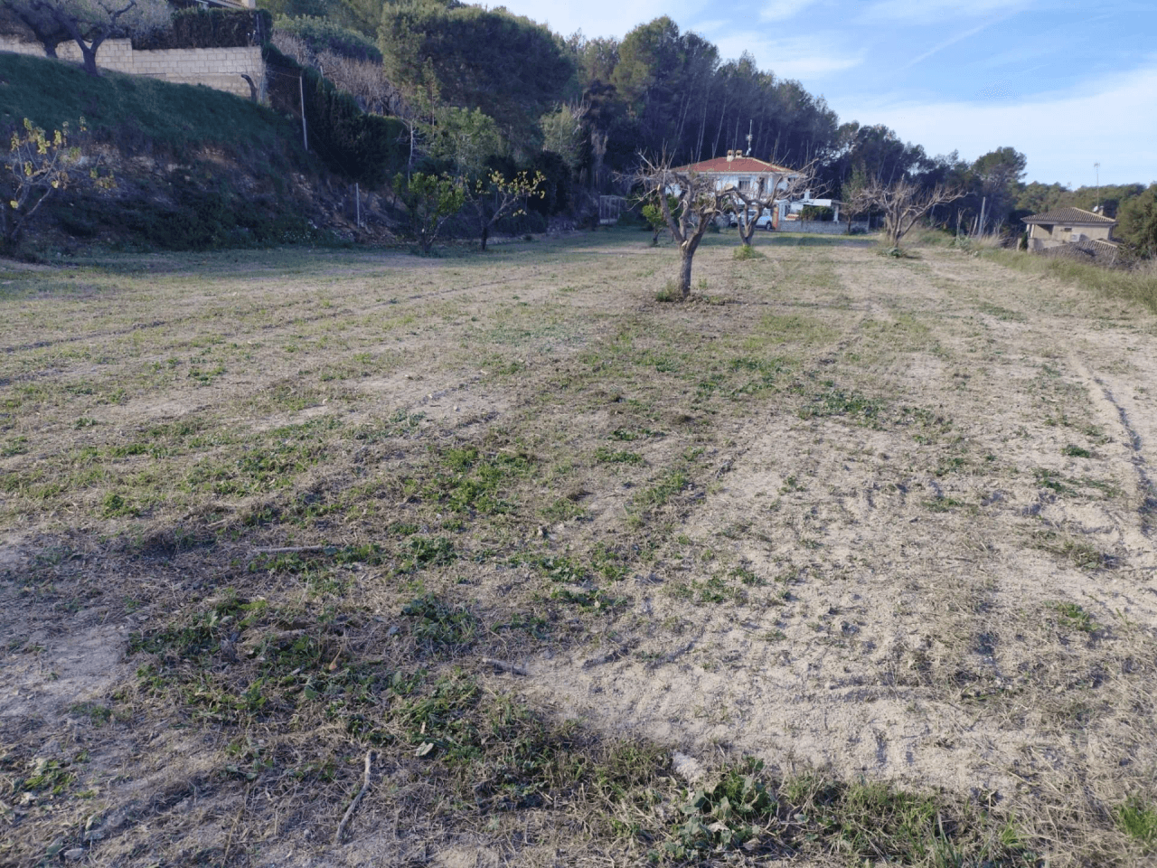 Terreno Urbano à la vente à Agullent, Valencia