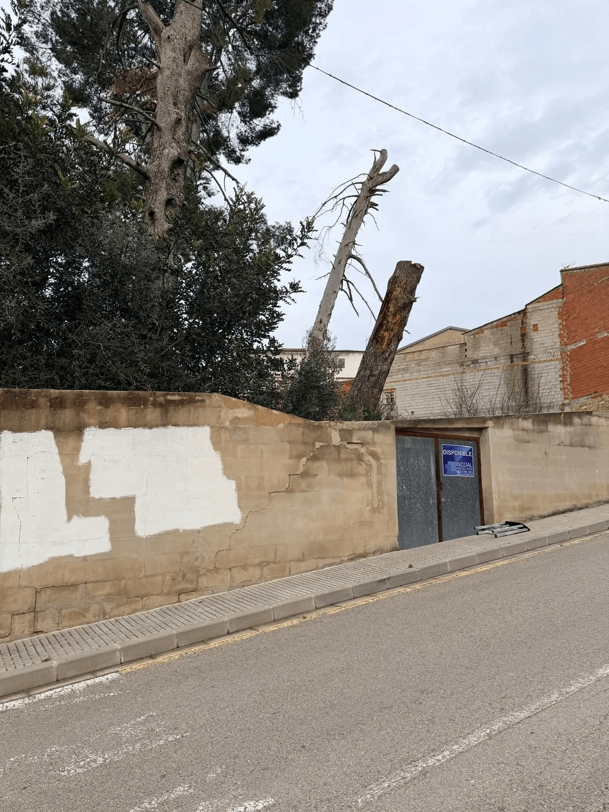 Solar à la vente à Belgida, Valencia