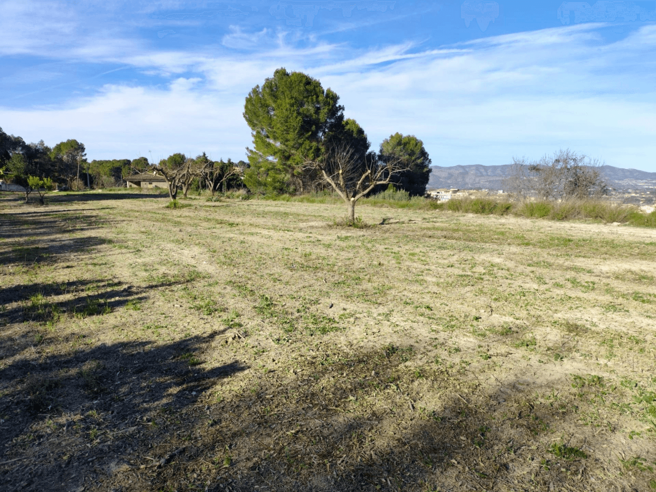 Terreno Urbano à la vente à Agullent, Valencia