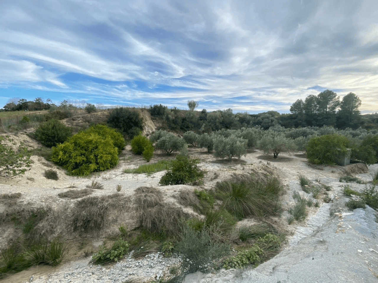 Parcela à la vente à Albaida, Valencia