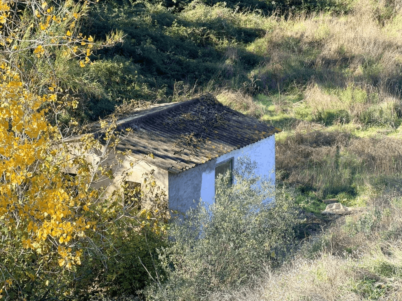 Parcela à la vente à Albaida, Valencia