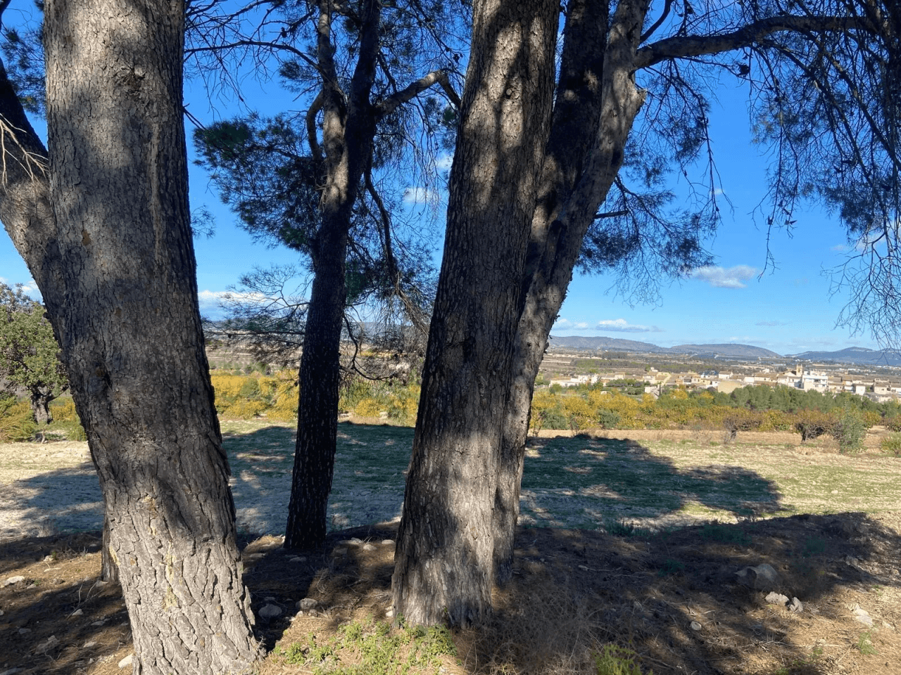 Venta de Parcela en Albaida-Valencia