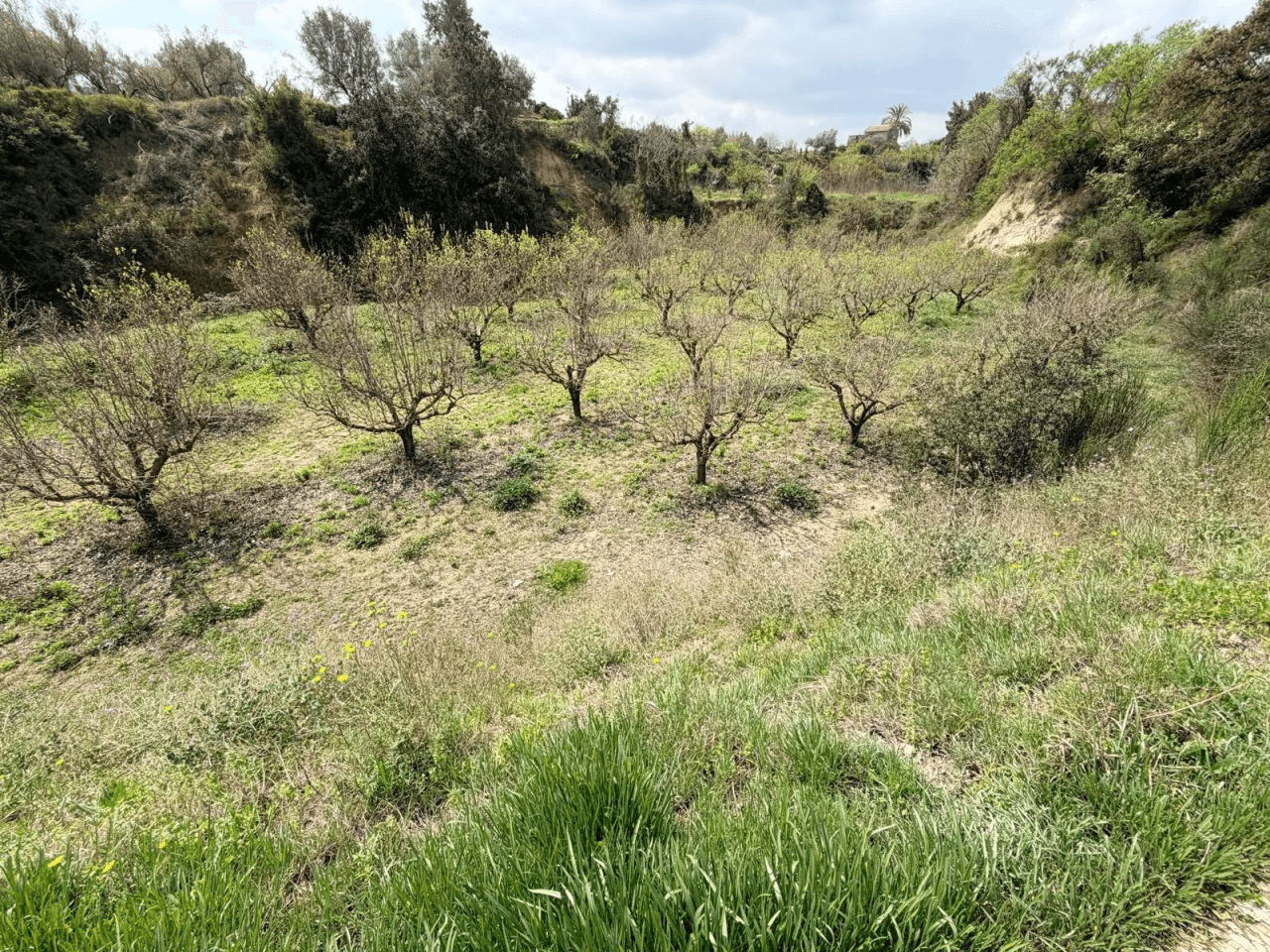 Parcela à la vente à Benissoda, Valencia
