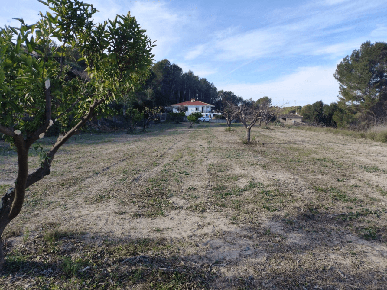 Terreno Urbano à la vente à Agullent, Valencia
