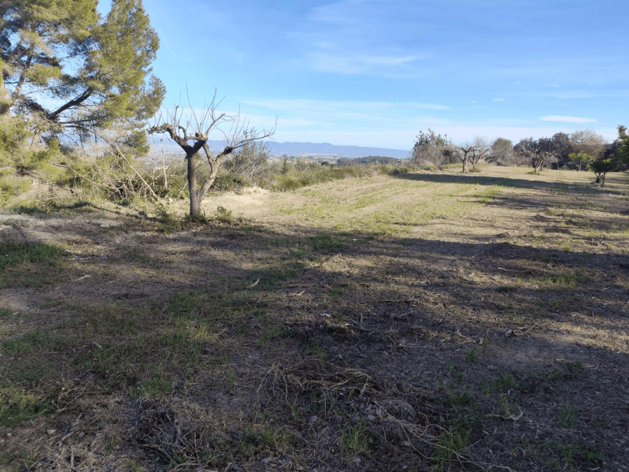 Terreno Urbano à la vente à Agullent, Valencia