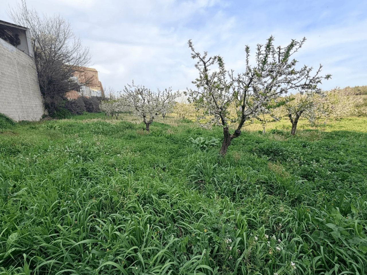 Parcela à la vente à Albaida, Valencia