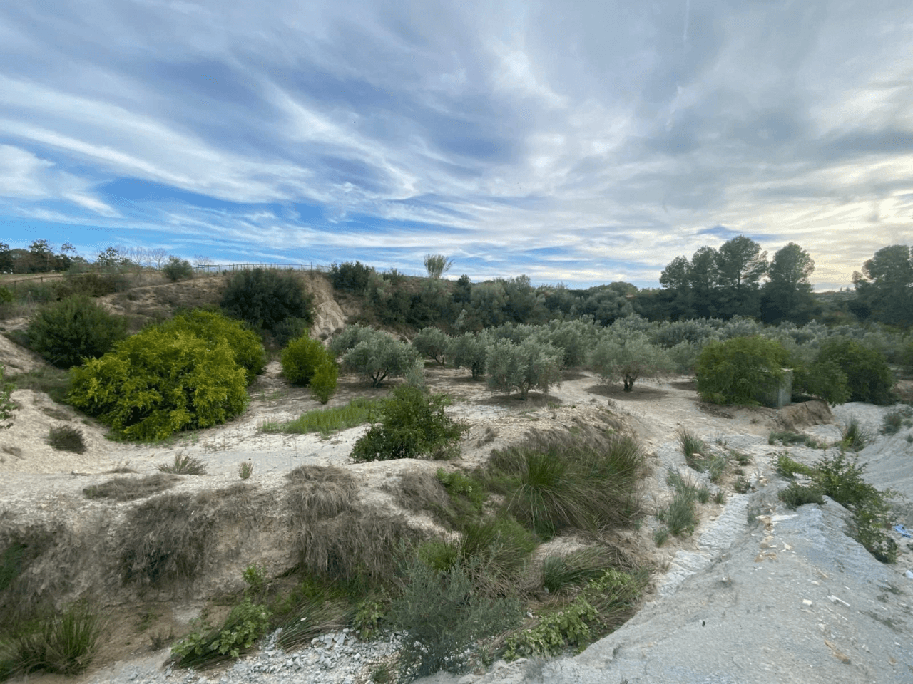 Parcela à la vente à Albaida, Valencia