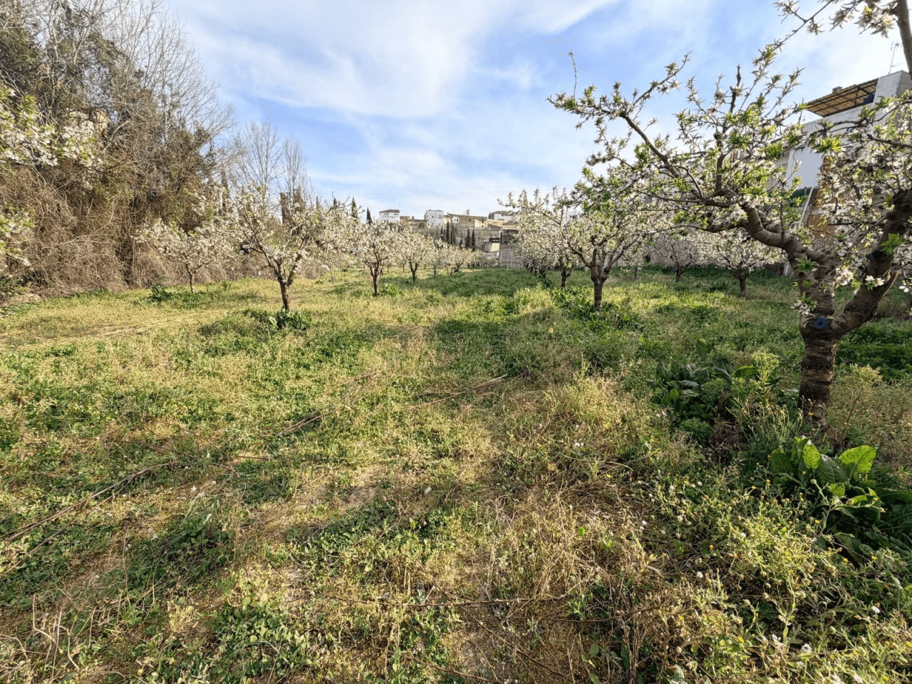 Venta Parcela en Albaida-Valencia