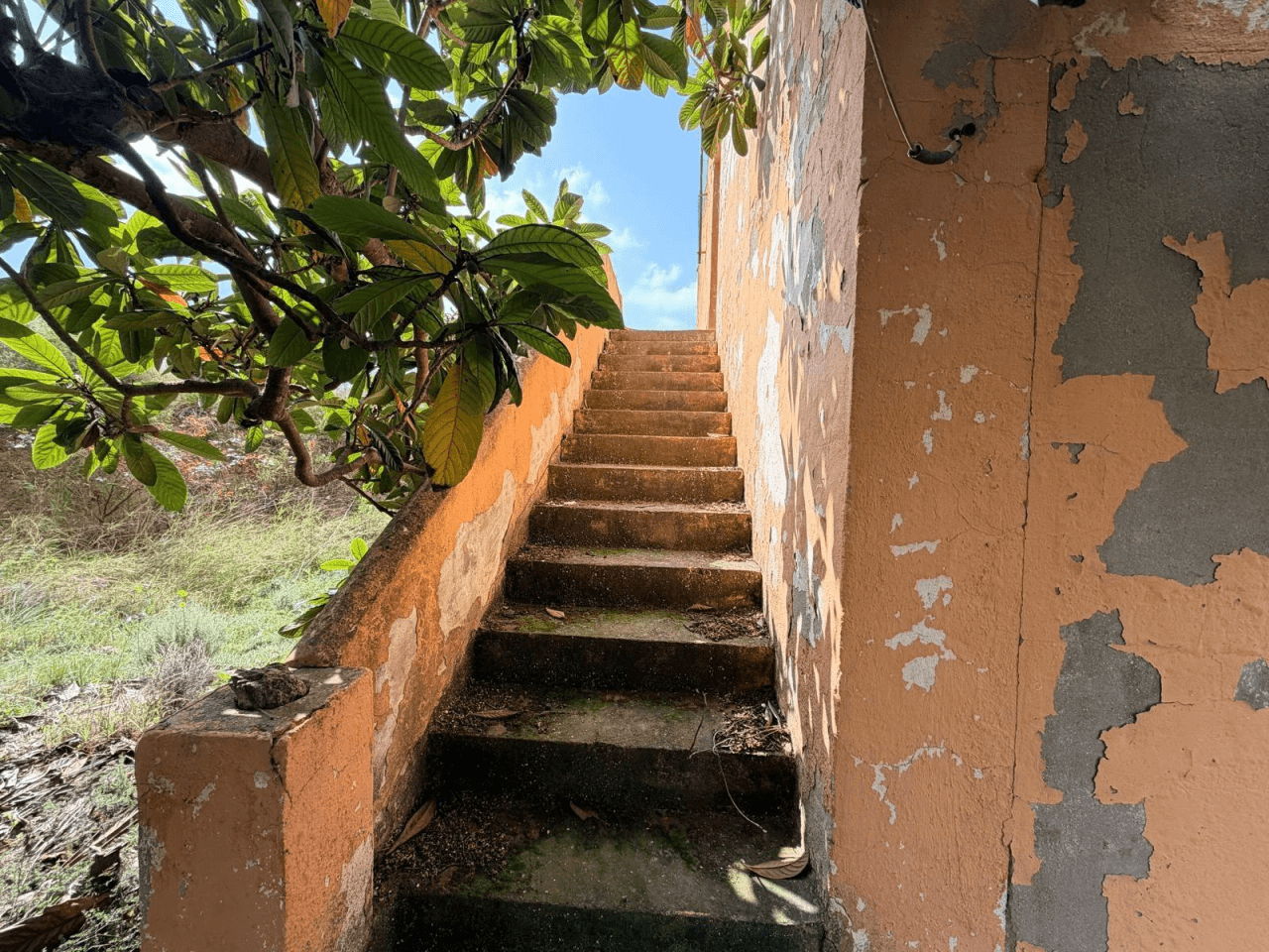 Amplia Casa de Campo en Albaida con Plantaciones y Piscina