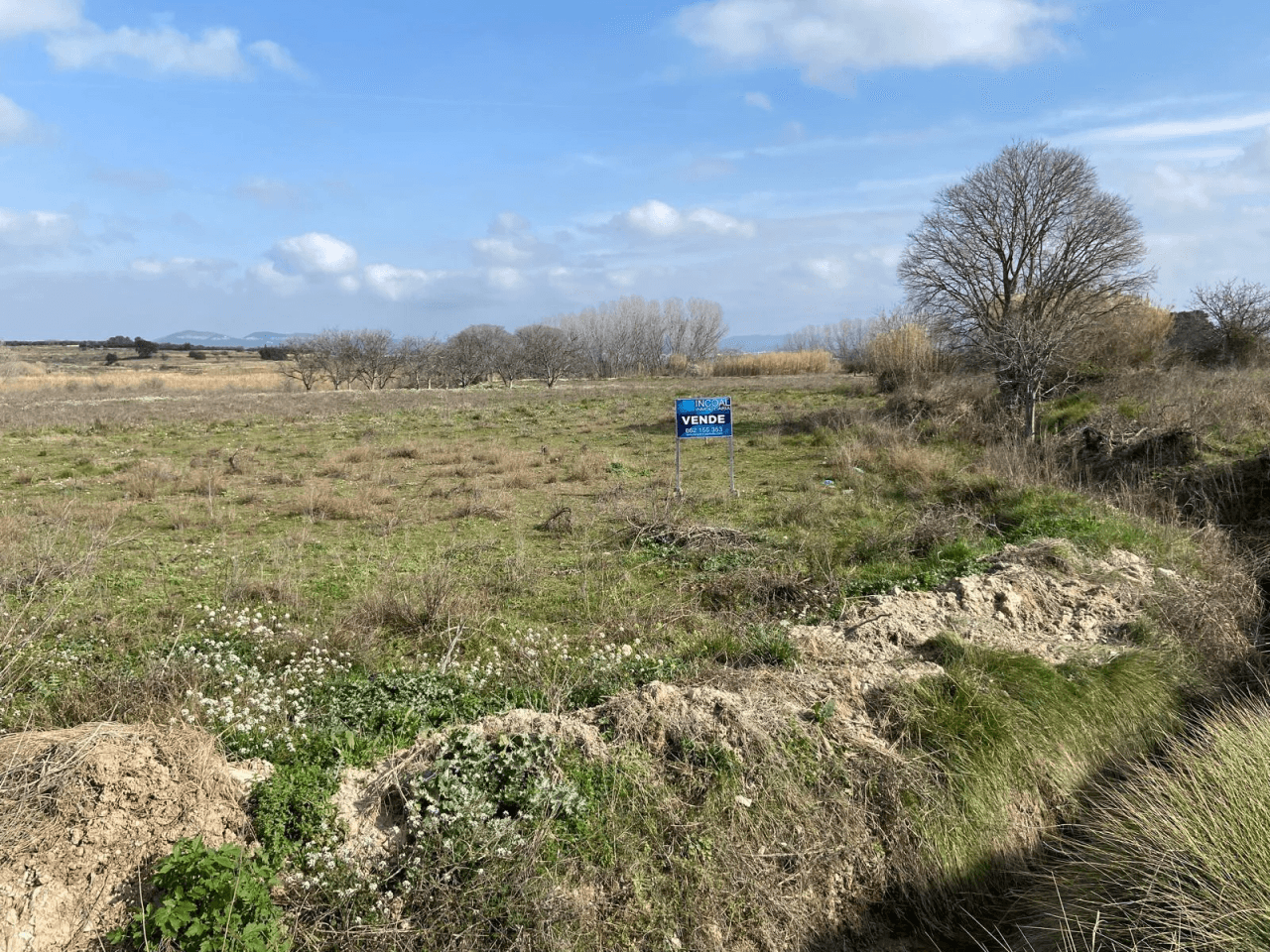 Lote de 3 terrenos (huerto) en montaverner