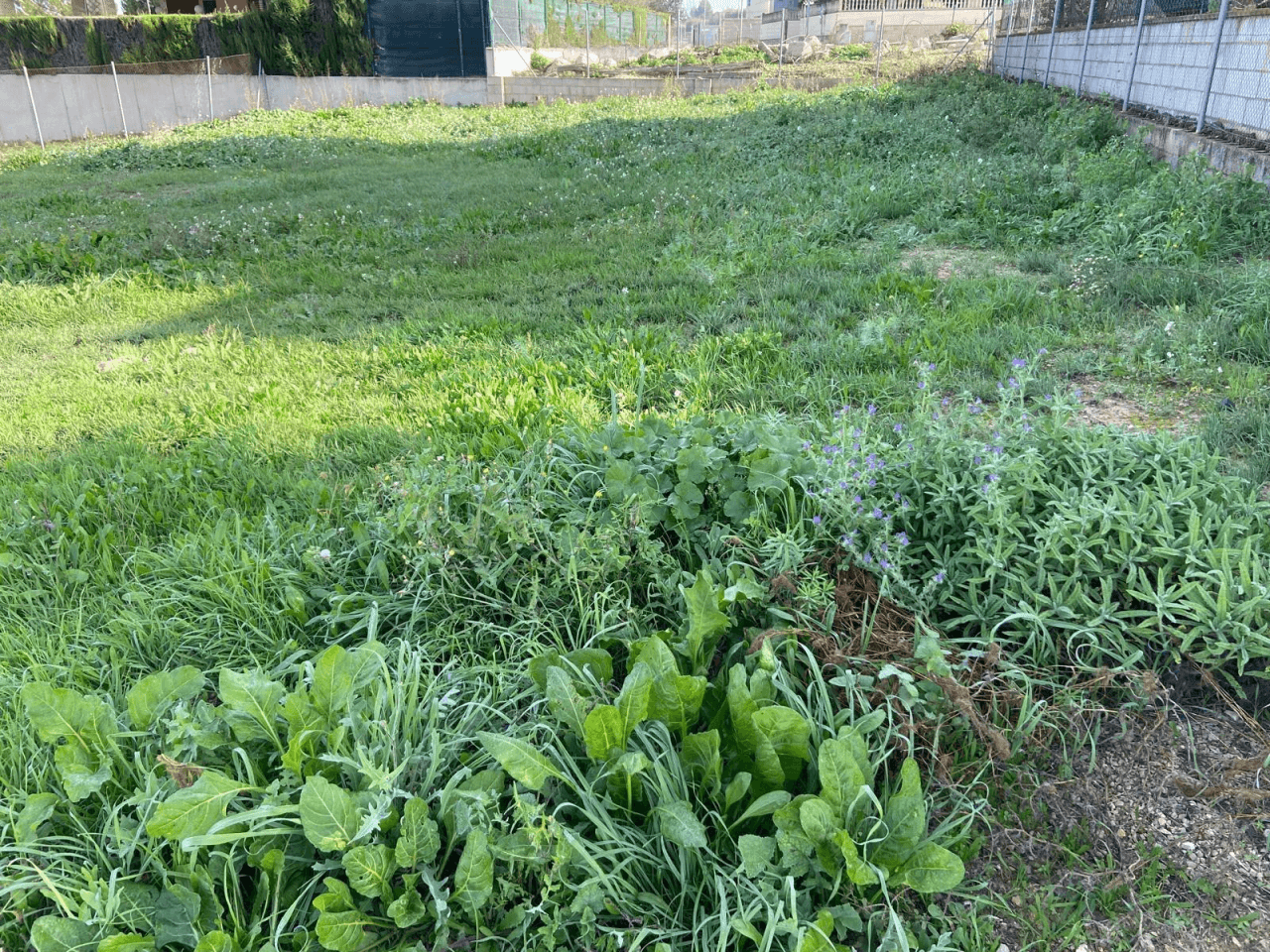 Venta Suelo Urbano en zona residencial de Montaverner