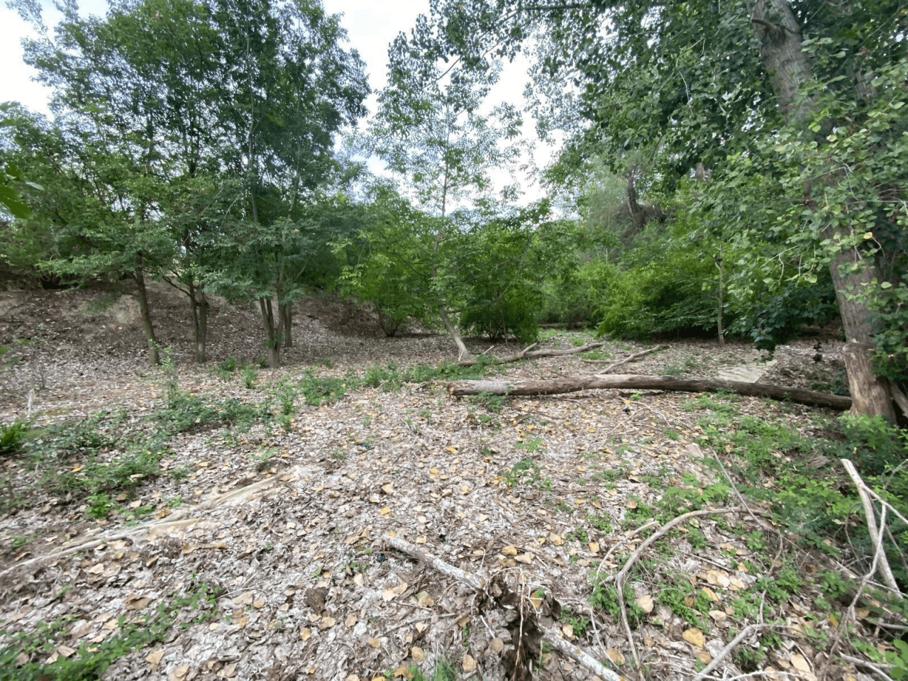 Venta de Parcela Albaida-Valencia