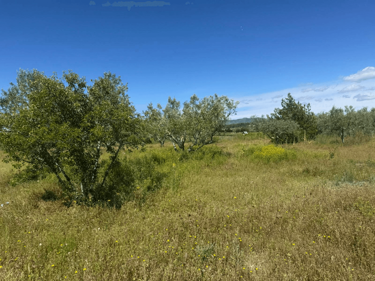 Casa de campo en Albaida con piscina y amplio terreno en venta