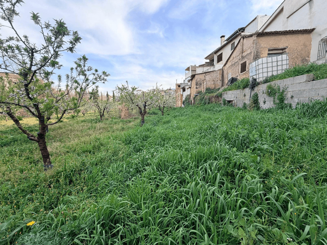 Venta Parcela en Albaida-Valencia