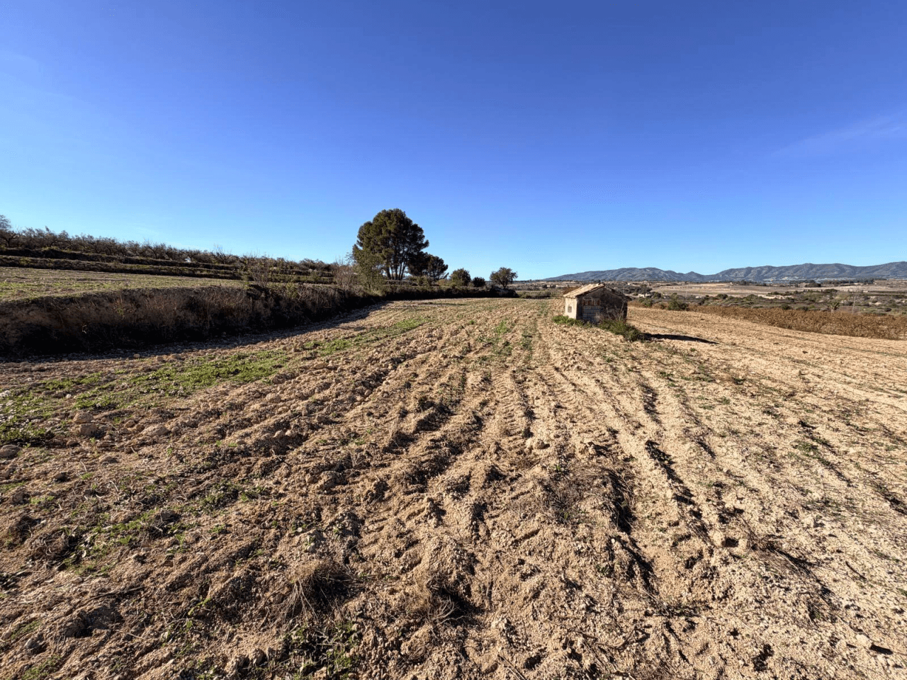Venta de Parcela en Albaida-Valencia