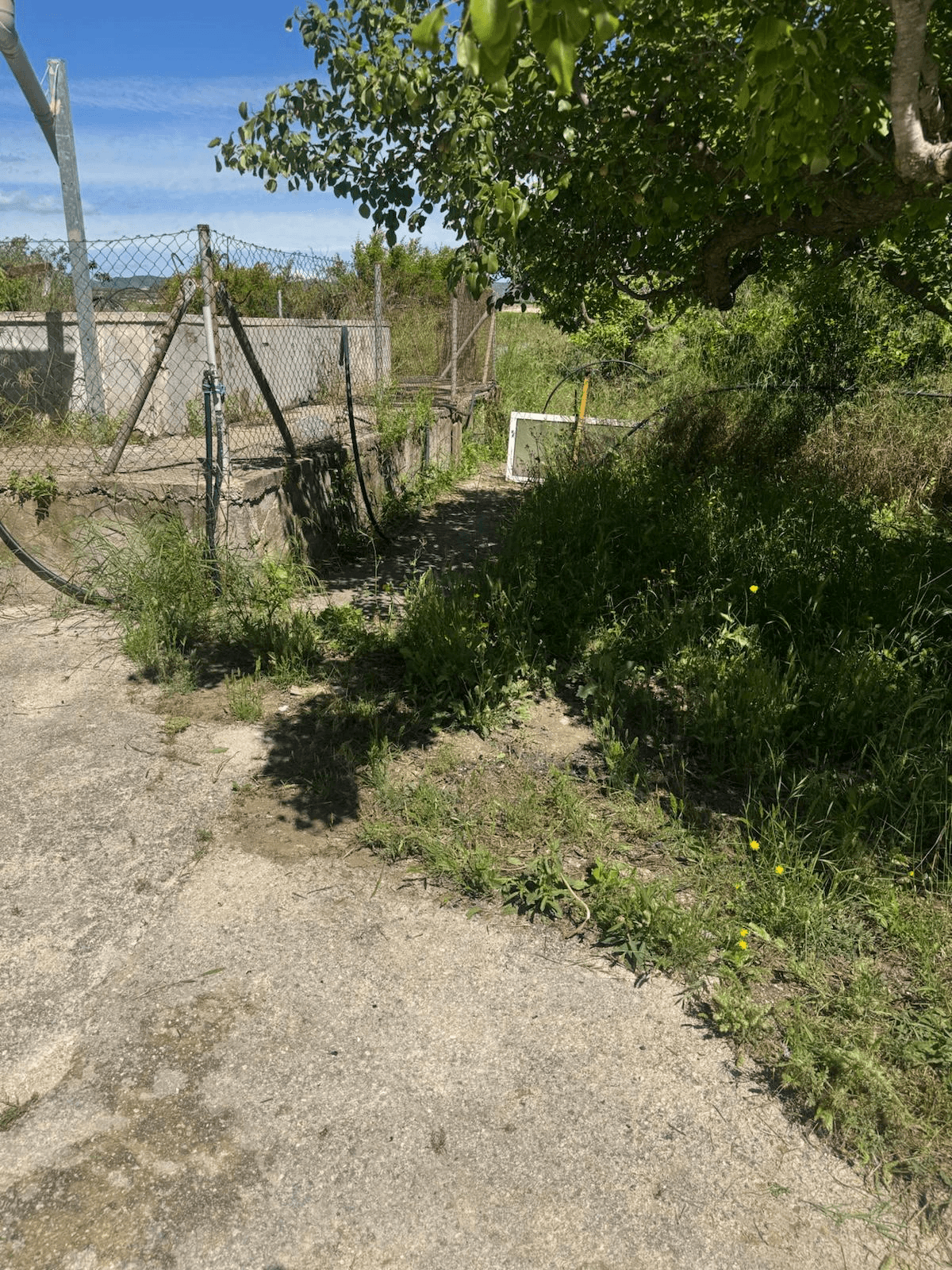 Casa de campo en Albaida con piscina y amplio terreno en venta