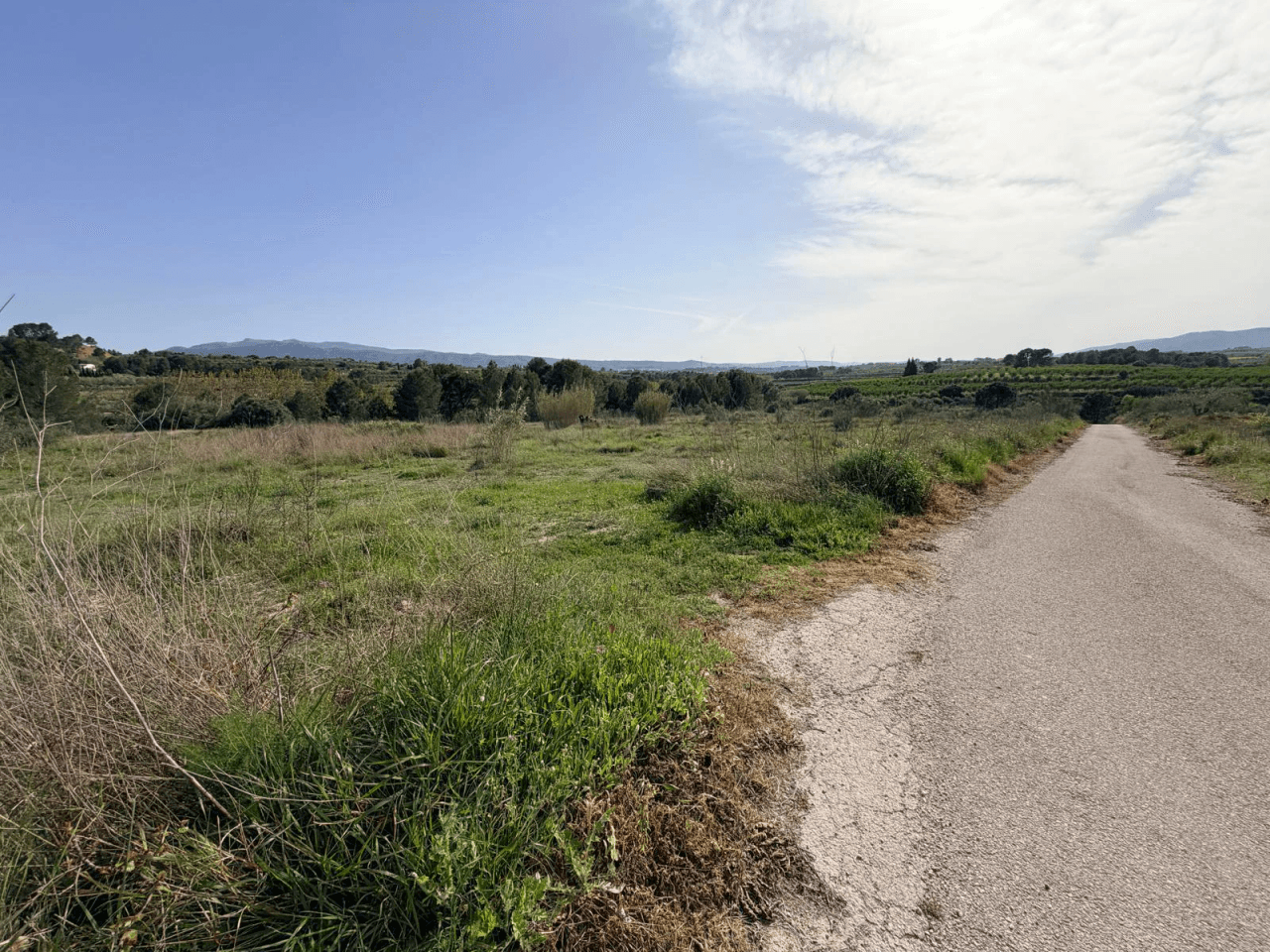 Venta Parcela Rustica en Montaverner-Valencia