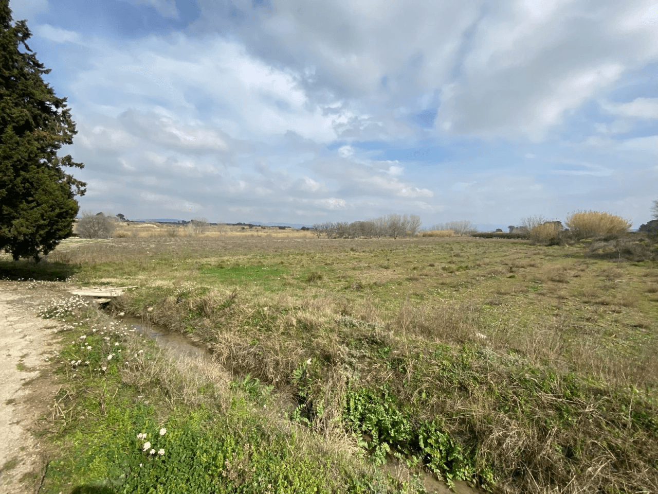 Lote de 3 terrenos (huerto) en montaverner