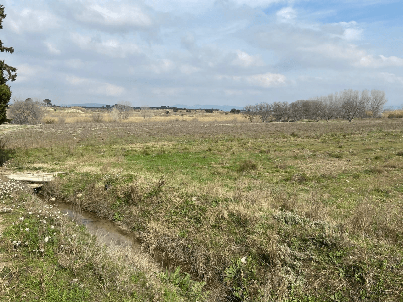 Lote de 3 terrenos (huerto) en montaverner