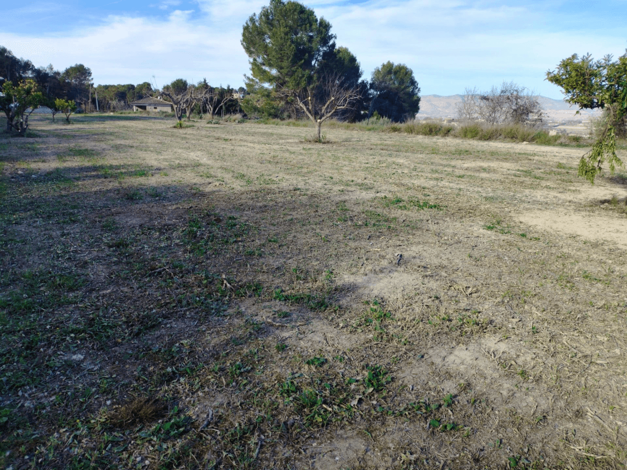 Venta de Terreno Urbano en Agullent-Valencia