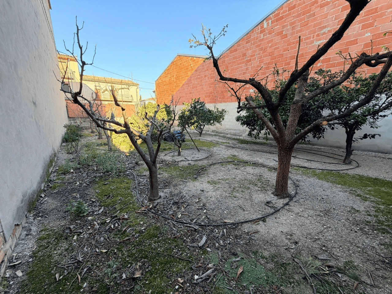 VENTA DE PARCELA URBANA EN BÉLGIDA (VALENCIA)