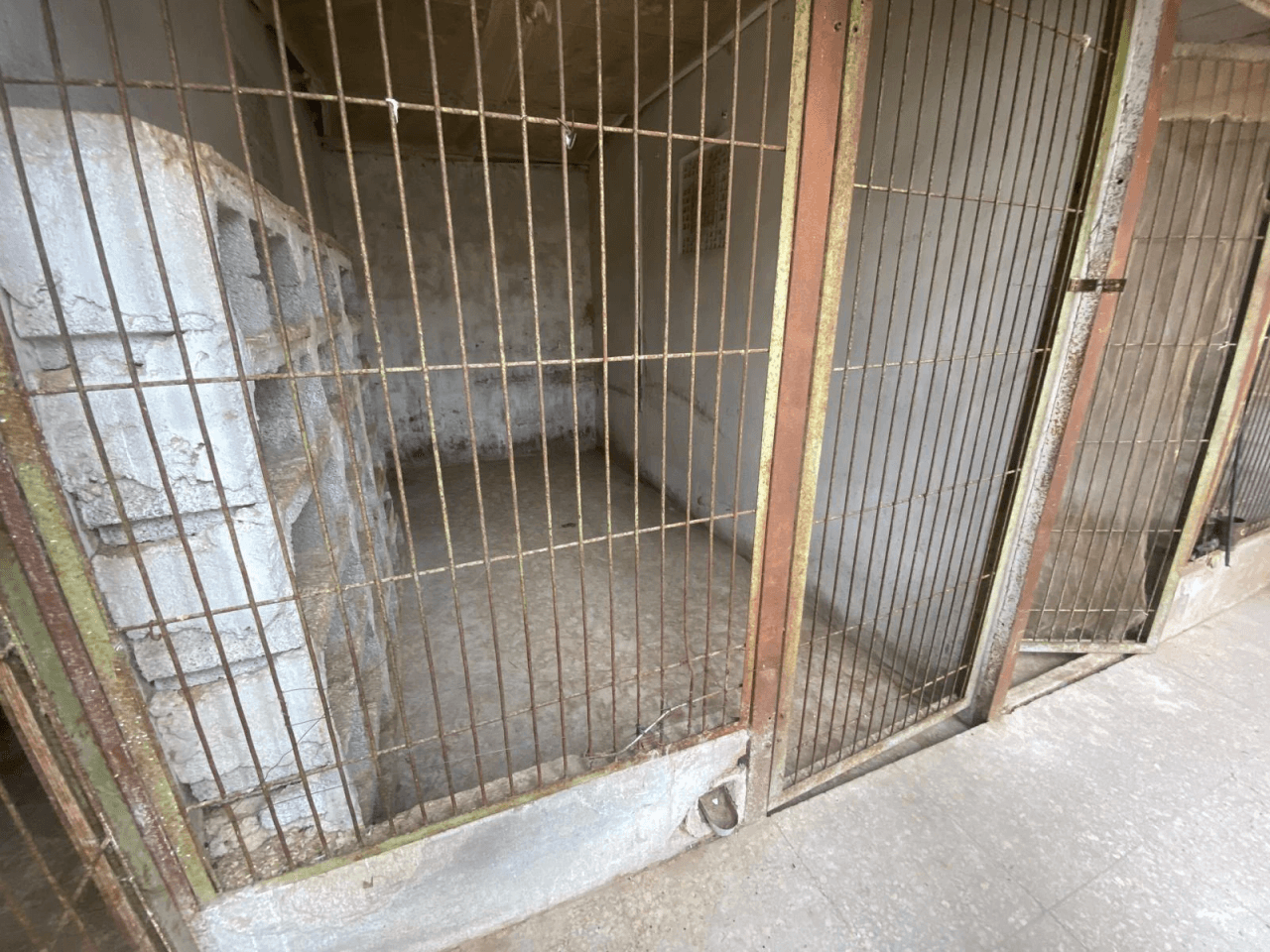 Venta Casa de Pueblo en El Palomar-Valencia