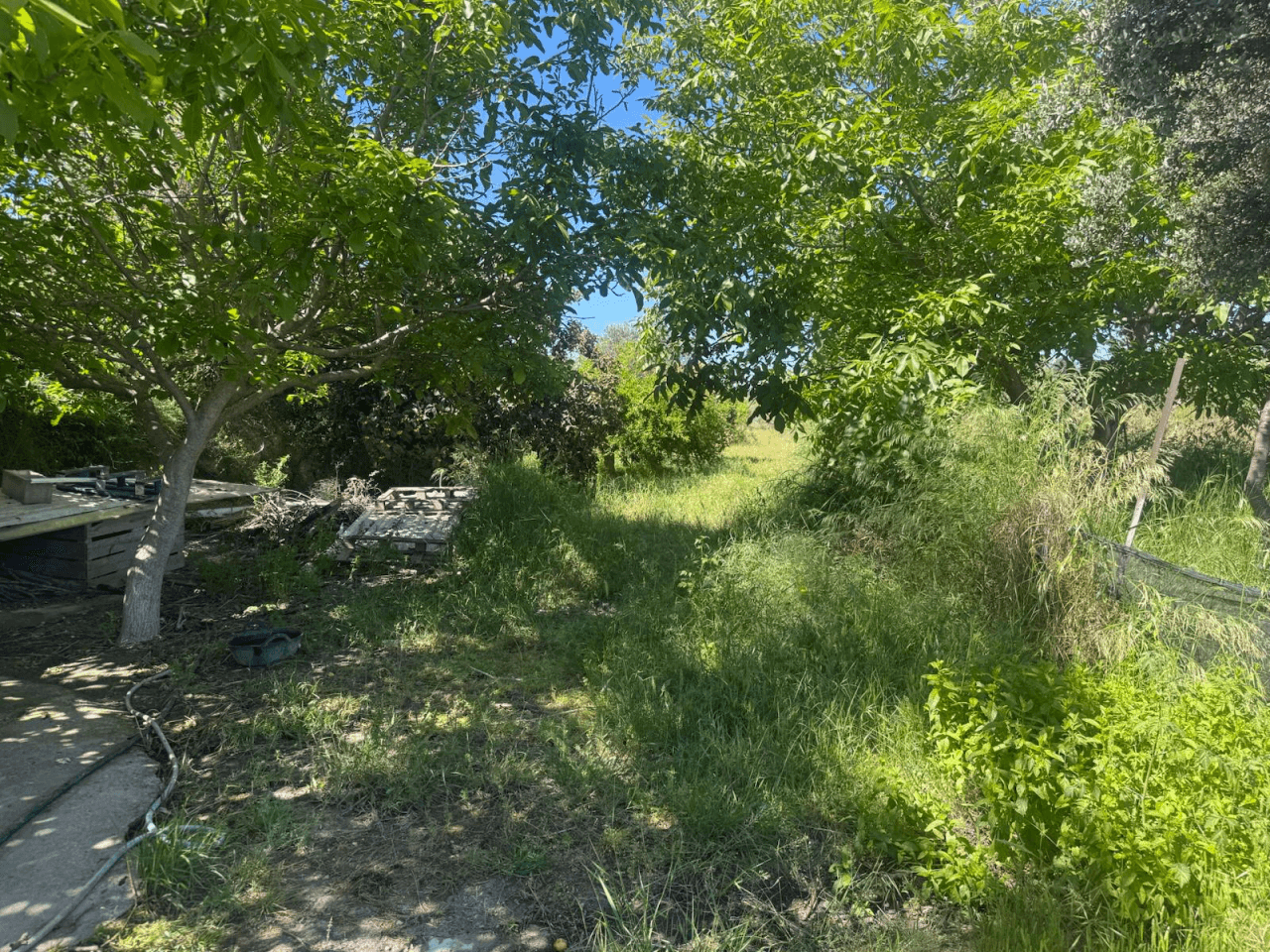 Casa de campo en Albaida con piscina y amplio terreno en venta