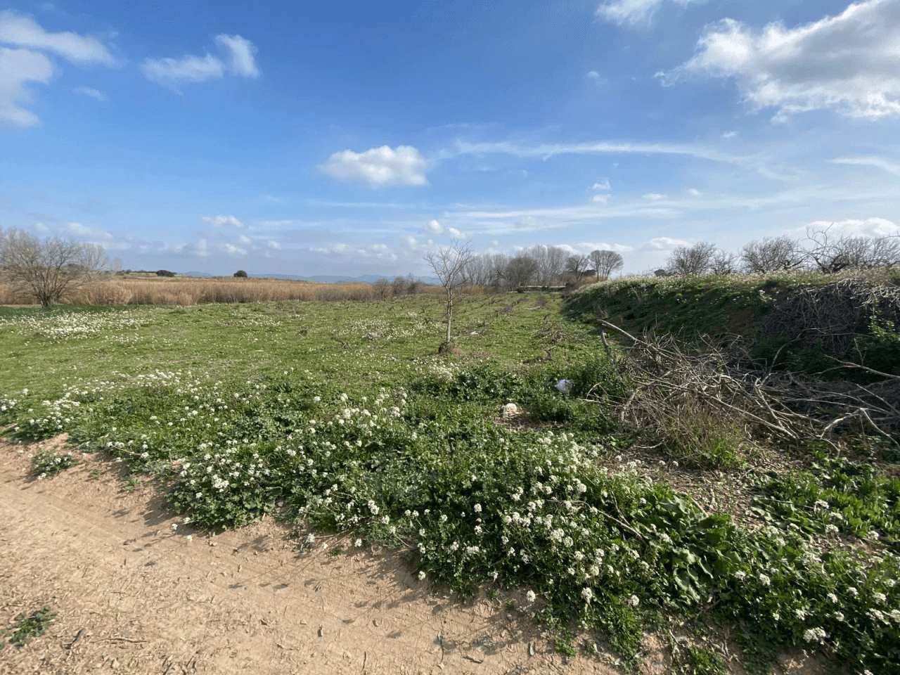 Lote de 3 terrenos (huerto) en montaverner