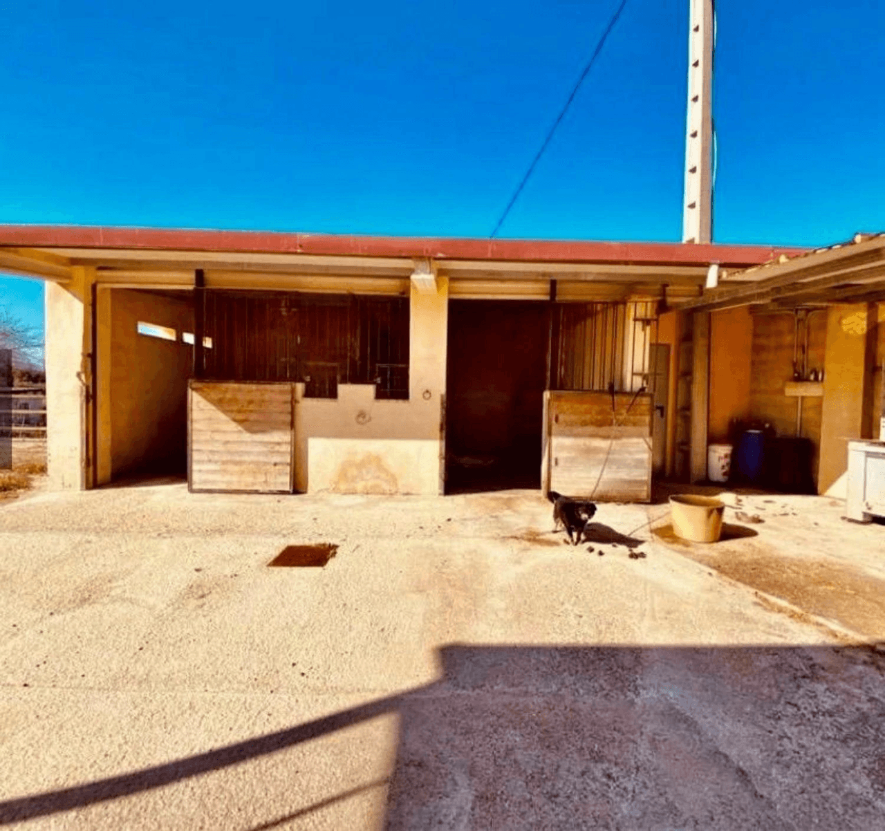 Venta de Chalet en El Palomar-Valencia
