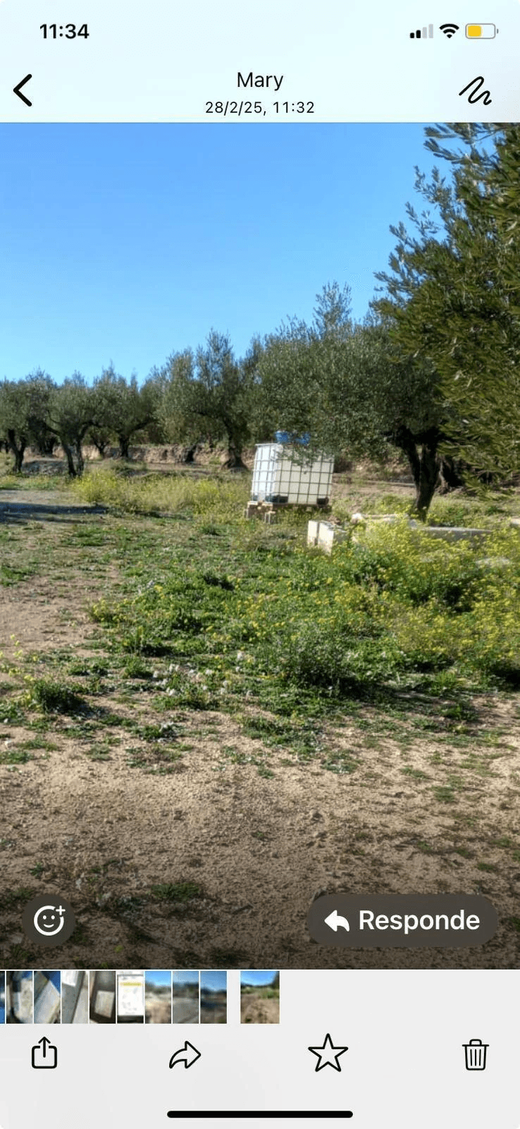 Venta PARCELA de OLIVOS en Quatretonda