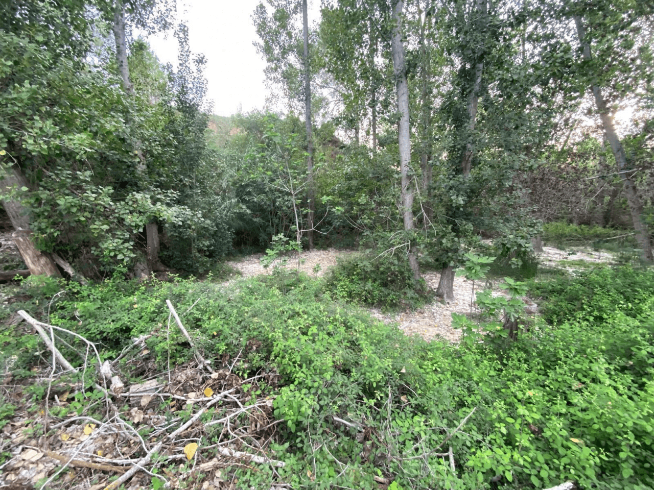 Venta de Parcela Albaida-Valencia