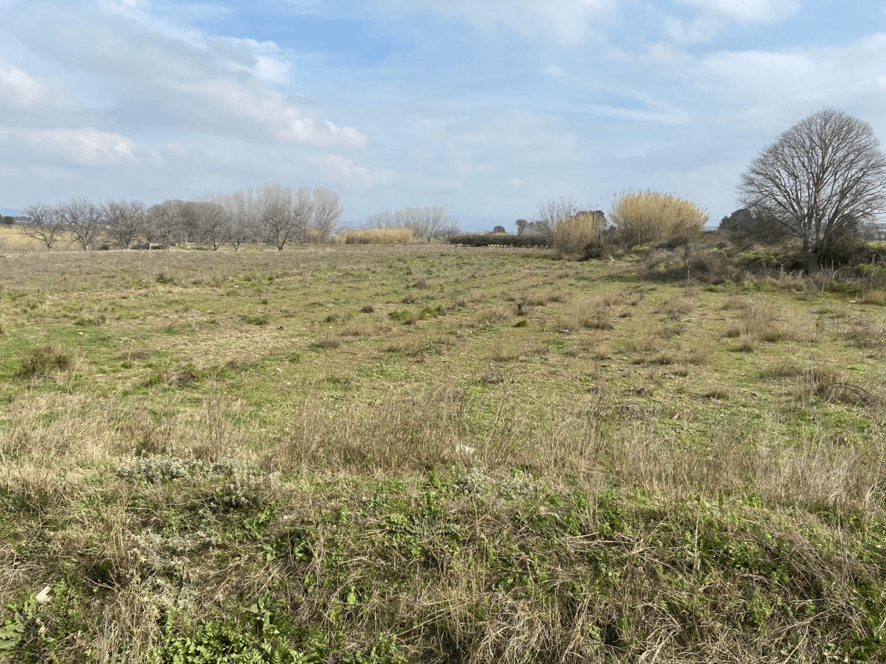 Lote de 3 terrenos (huerto) en montaverner
