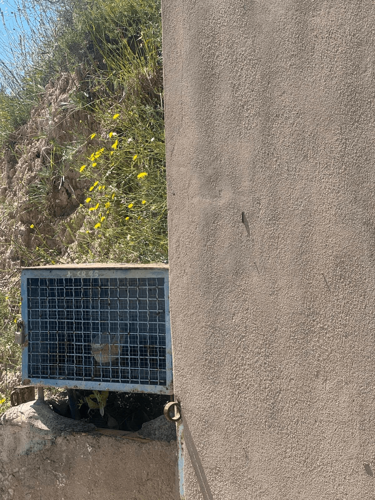 Casa de campo en Albaida con piscina y amplio terreno en venta