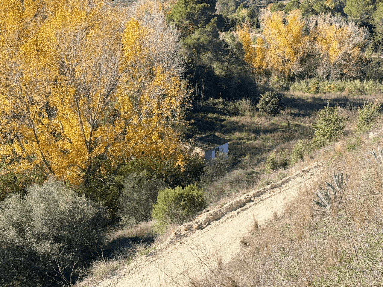Venta Parcela en Albaida-Valencia