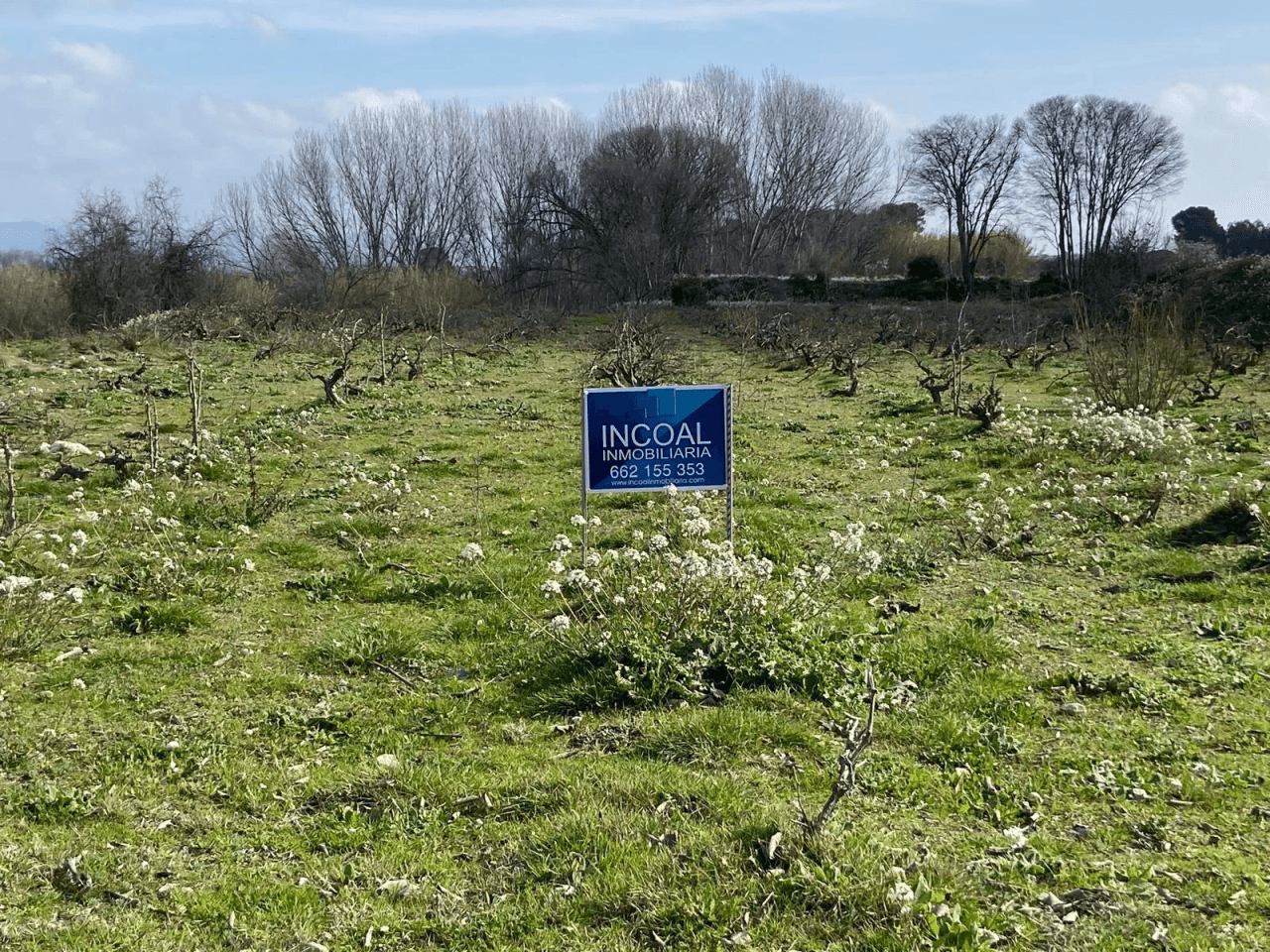 Lote de 3 terrenos (huerto) en montaverner