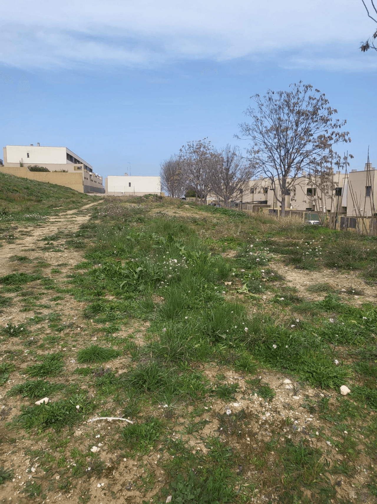 Venta Solar Urbano en Albaida-Valencia