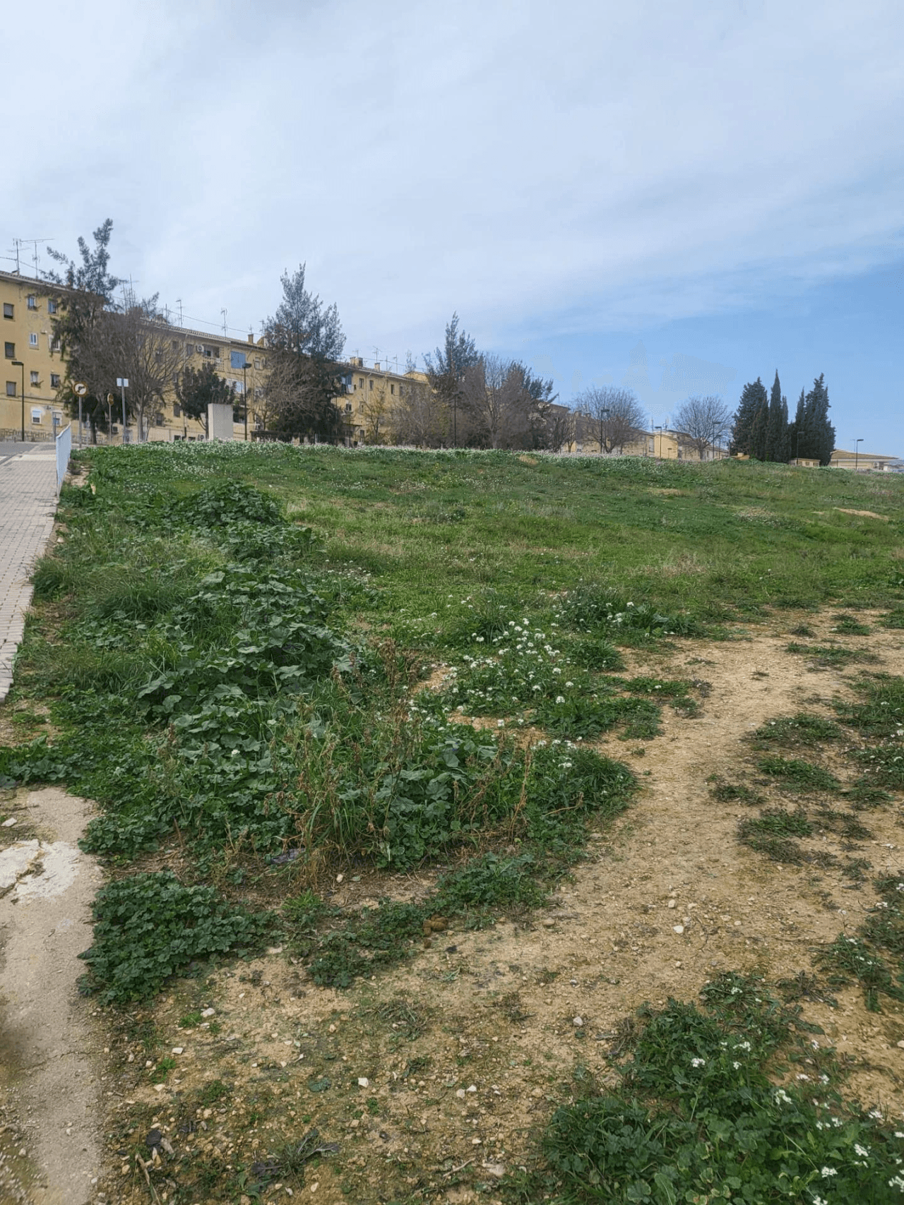 Venta Solar Urbano en Albaida-Valencia