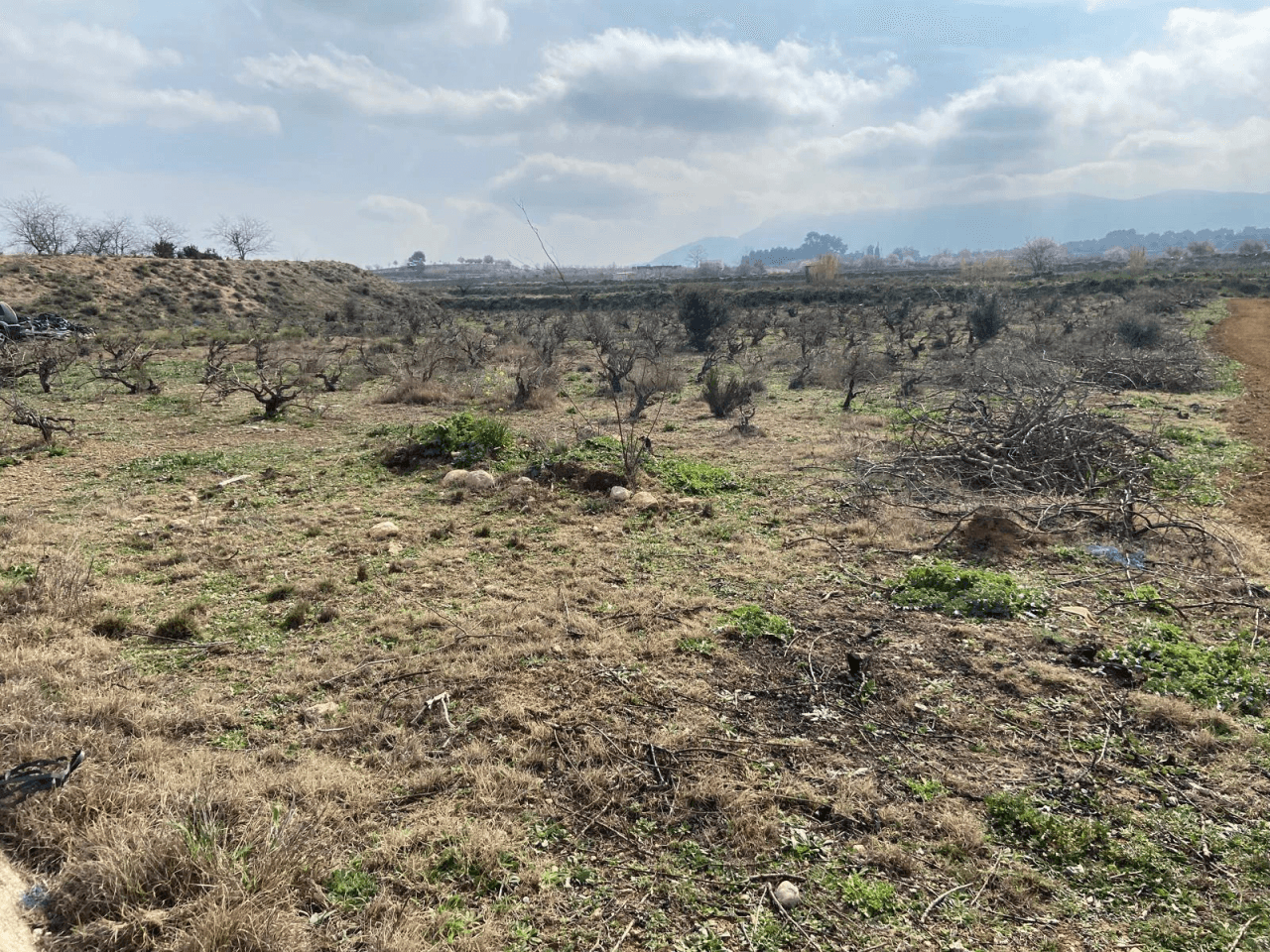 Venta TERRENO DE SECANO en Montaverner-Valencia