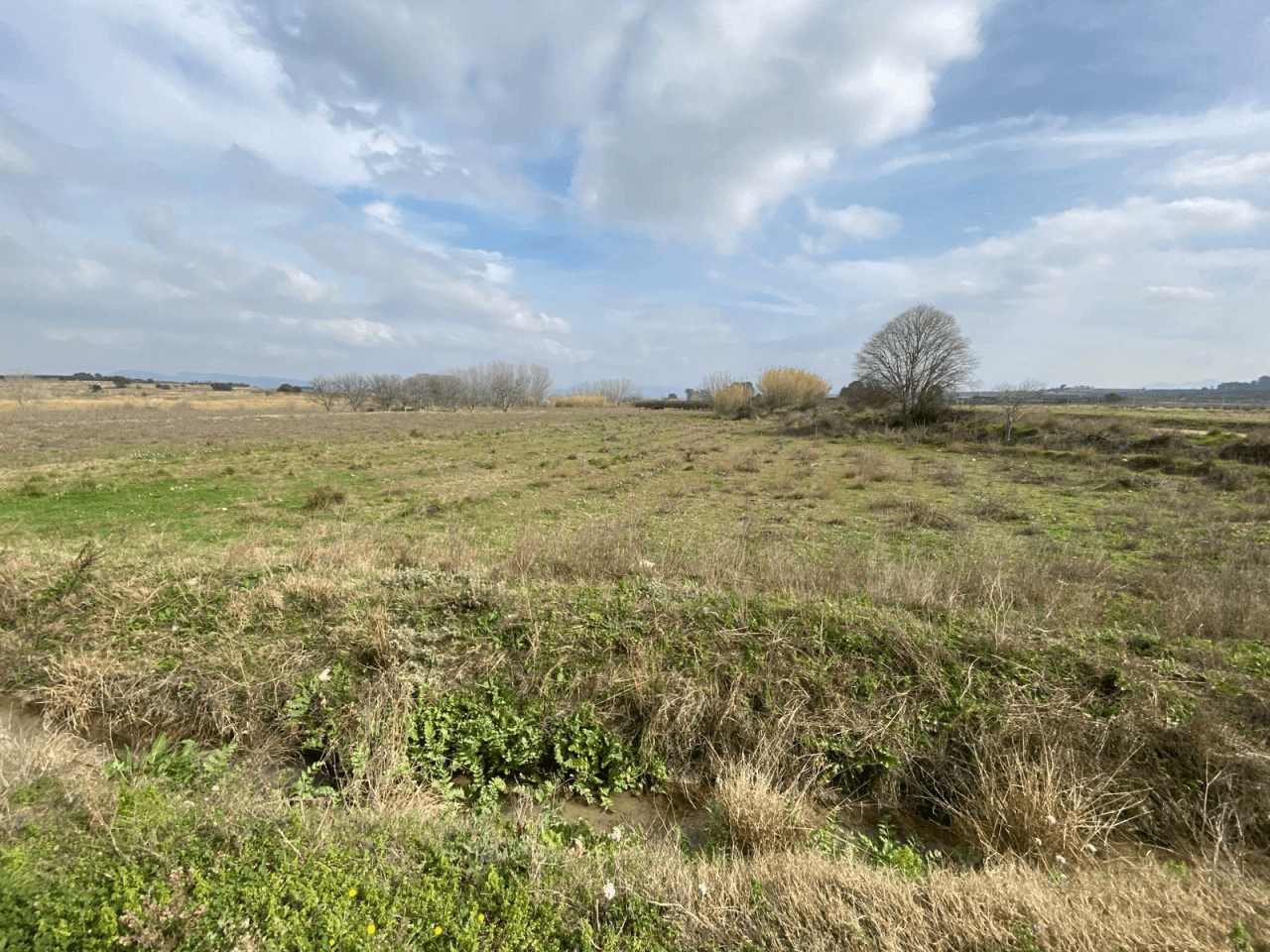 Lote de 3 terrenos (huerto) en montaverner