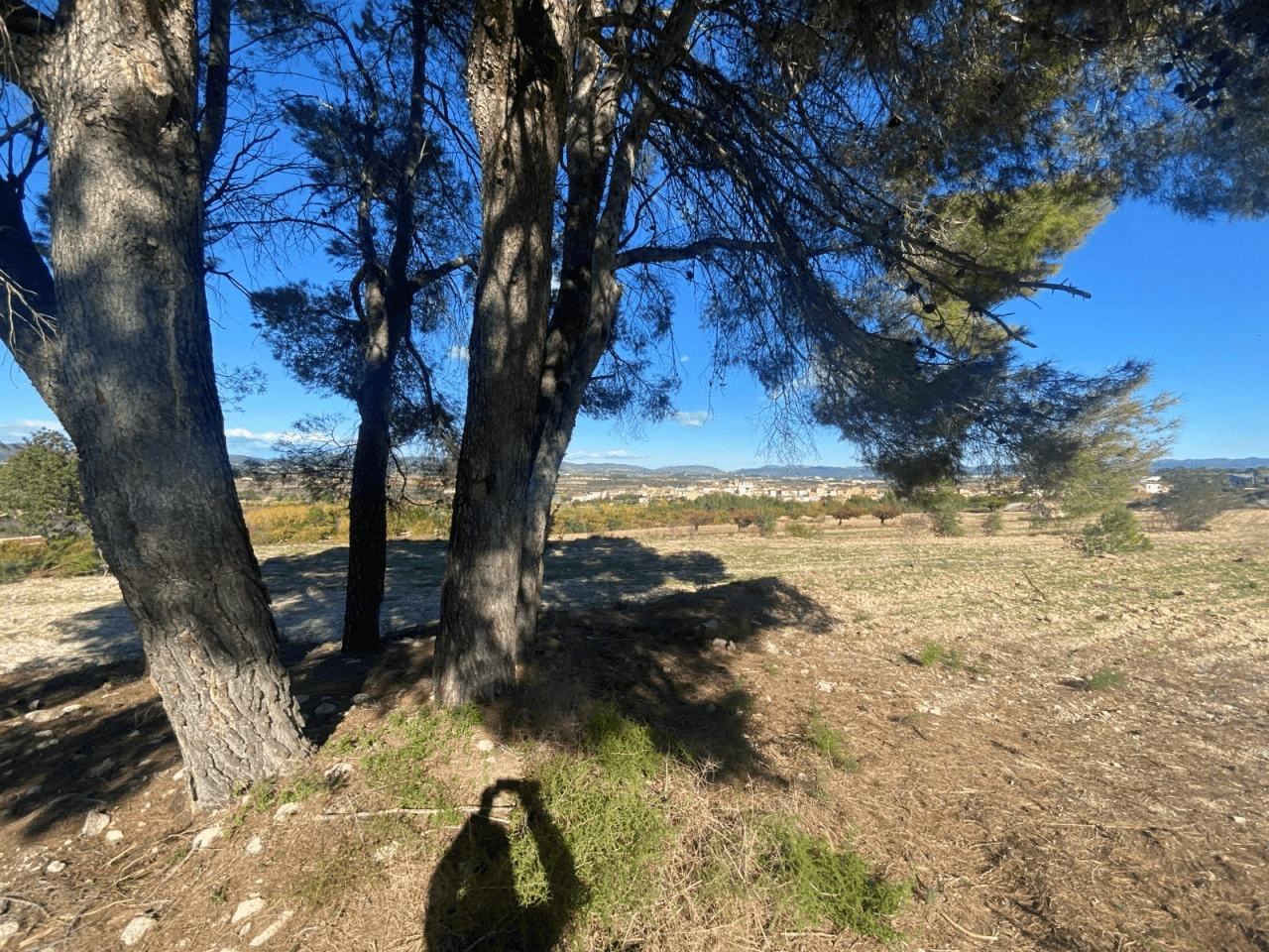 Venta de Parcela en Albaida-Valencia
