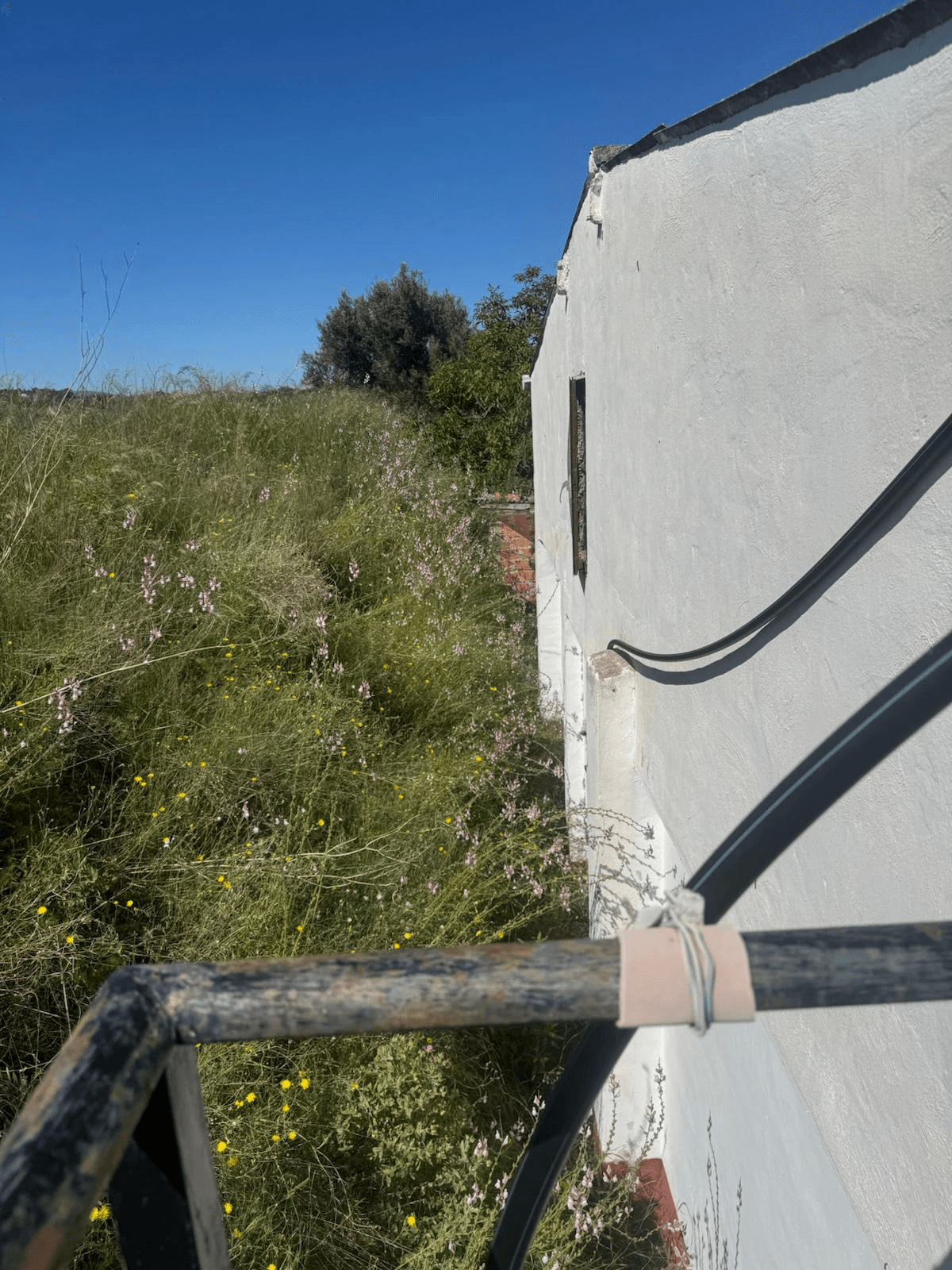 Casa de campo en Albaida con piscina y amplio terreno en venta
