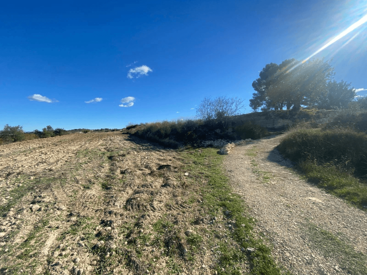 Venta de Parcela en Albaida-Valencia